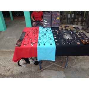 รูปถ่าย คอสตาริกา(Costa Rica) มอนเตซูมา(Montezuma) 2015-03 357