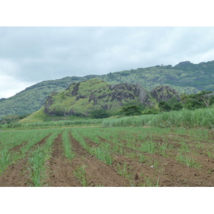 รูปถ่าย ฟิจิ(Fiji) ถนนจากนาดีไปเลาโตกา(Nadi to Lautoka road) 2010-05 4