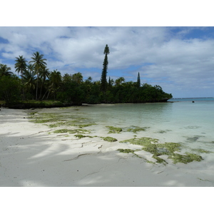 รูปถ่าย นิวแคลิโดเนีย(New Caledonia) เกาะลีฟู(Lifou) อ่าวเต่า(Baie des tortues) 2010-05 25