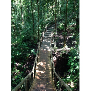 รูปถ่าย คอสตาริกา(Costa Rica) มานวยล์อันโตนีโอ(Manuel Antonio) 2015-03 139