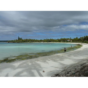 รูปถ่าย นิวแคลิโดเนีย(New Caledonia) 2010-05 79
