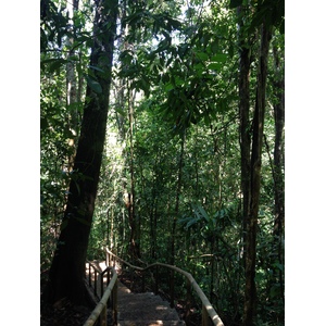 รูปถ่าย คอสตาริกา(Costa Rica) มานวยล์อันโตนีโอ(Manuel Antonio) 2015-03 123