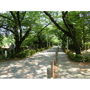 รูปถ่าย ญี่ปุ่น(Japan) โตเกียว(Tokyo) โอโมเตะซันโด(Omotesando) 2010-06 54