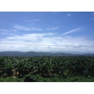 รูปถ่าย คอสตาริกา(Costa Rica) จากลีมอนไปซีกีร์เรส(Limon to Siquirres) 2015-03 24