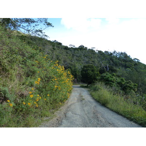 รูปถ่าย นิวแคลิโดเนีย(New Caledonia) ถนนจากทีโอไปกานาลา(Thio to Canala road) 2010-05 63