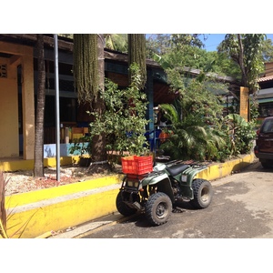 รูปถ่าย คอสตาริกา(Costa Rica) มอนเตซูมา(Montezuma) 2015-03 224