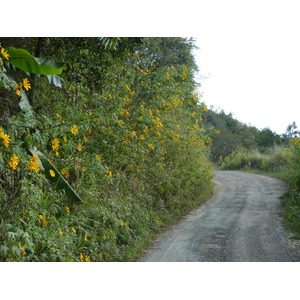 รูปถ่าย นิวแคลิโดเนีย(New Caledonia) ถนนจากทีโอไปกานาลา(Thio to Canala road) 2010-05 65