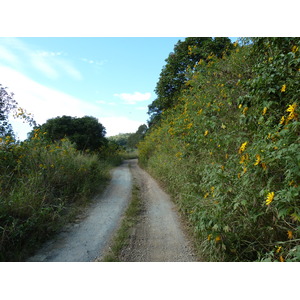 รูปถ่าย นิวแคลิโดเนีย(New Caledonia) ถนนจากทีโอไปกานาลา(Thio to Canala road) 2010-05 68