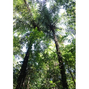 รูปถ่าย คอสตาริกา(Costa Rica) มานวยล์อันโตนีโอ(Manuel Antonio) 2015-03 22
