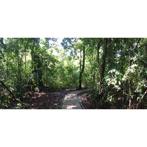 รูปถ่าย คอสตาริกา(Costa Rica) มานวยล์อันโตนีโอ(Manuel Antonio) 2015-03 82