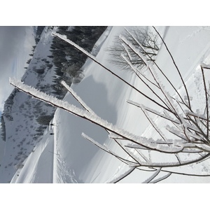 รูปถ่าย ฝรั่งเศส(France) เมแฌฟว์(Megeve) 2016-02 59