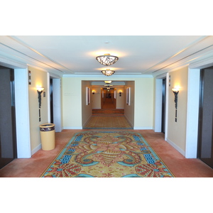 รูปถ่าย สหรัฐอาหรับเอมิเรตส์(United Arab Emirates) ดูไบ(Dubai) โรงแรมแอตแลนติส(Atlantis Hotel) 2014-02 216