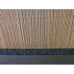 รูปถ่าย ญี่ปุ่น(Japan) โตเกียว(Tokyo) พิพิธภัณฑ์เนซุ(Nezu Museum) 2010-06 0