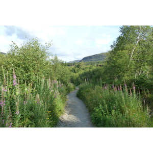 รูปถ่าย อังกฤษ(United Kingdom) เวสเตอร์รอสส์(Wester Ross) 2011-07 31
