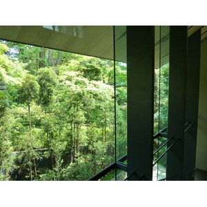 รูปถ่าย ญี่ปุ่น(Japan) โตเกียว(Tokyo) พิพิธภัณฑ์เนซุ(Nezu Museum) 2010-06 20