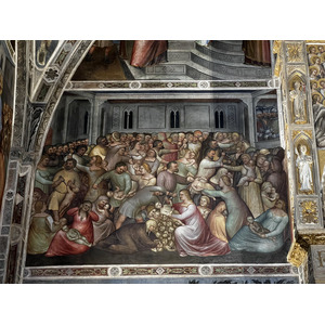 รูปถ่าย อิตาลี(Italy) ปาโดวา(Padua) 2022-05 126