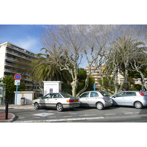 รูปถ่าย ฝรั่งเศส(France) คานส์(Cannes) หาดดูมีดี(Plage du midi) 2008-03 12