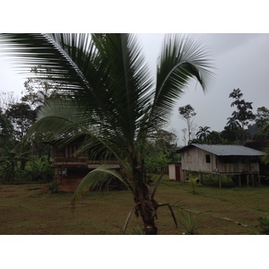 รูปถ่าย ปานามา(Panama) จากดาบิดไปโบกัสเดลโตโร(David to Bocas del toro) 2015-03 5