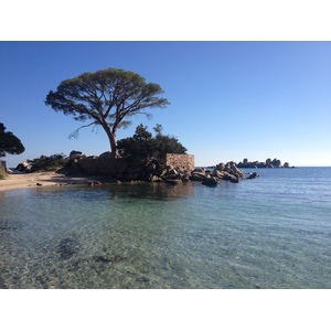 รูปถ่าย ฝรั่งเศส(France) คอร์สิคา(Corsica) ปาลอมบัจจา(Palombaggia) 2012-09 32
