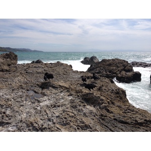 รูปถ่าย คอสตาริกา(Costa Rica) มอนเตซูมา(Montezuma) 2015-03 288