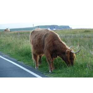 รูปถ่าย อังกฤษ(United Kingdom) เกาะสกาย(Skye) 2011-07 42