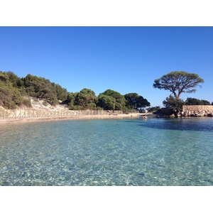 รูปถ่าย ฝรั่งเศส(France) คอร์สิคา(Corsica) ปาลอมบัจจา(Palombaggia) 2012-09 10
