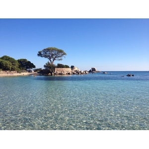 รูปถ่าย ฝรั่งเศส(France) คอร์สิคา(Corsica) ปาลอมบัจจา(Palombaggia) 2012-09 2