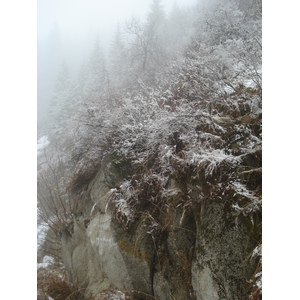 รูปถ่าย คาซัคสถาน(Kazakhstan) อุทยานแห่งชาติอีเลอาลาเตา(Ile Alatau National Park) 2007-03 27