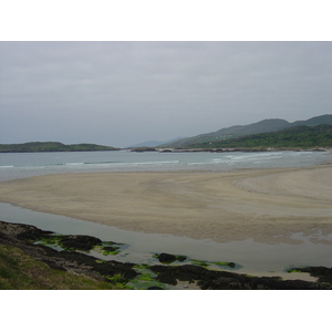 รูปถ่าย ไอร์แลนด์(Ireland) เคอร์รี่(Kerry) ปาร์คนาสิลล่า(Parknasilla) 2004-05 34