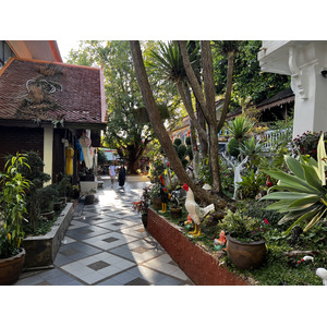 รูปถ่าย ไทย(Thailand) เชียงใหม่(Chiang Mai) ดอยสุเทพ(Doi Suthep) 2024-01 27
