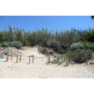 รูปถ่าย ฝรั่งเศส(France) เกาะปอร์เกอรอล(Porquerolles Island) หาดกูร์ตาด(Courtade beach) 2008-05 46