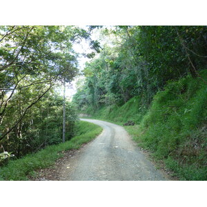 รูปถ่าย นิวแคลิโดเนีย(New Caledonia) ถนนจากทีโอไปกานาลา(Thio to Canala road) 2010-05 59