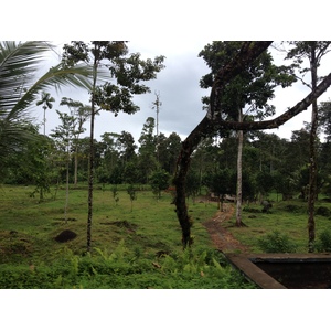รูปถ่าย ปานามา(Panama) จากดาบิดไปโบกัสเดลโตโร(David to Bocas del toro) 2015-03 61