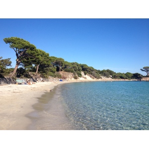 รูปถ่าย ฝรั่งเศส(France) คอร์สิคา(Corsica) ปาลอมบัจจา(Palombaggia) 2012-09 70