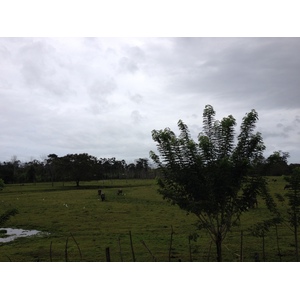 รูปถ่าย ปานามา(Panama) จากดาบิดไปโบกัสเดลโตโร(David to Bocas del toro) 2015-03 69