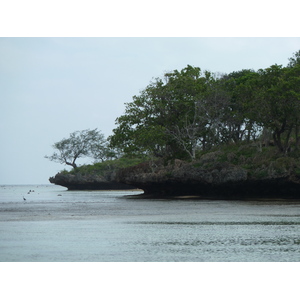 รูปถ่าย ฟิจิ(Fiji) ถนนจากนาดีไปนาตาโดลา(Nadi to Natadola road) 2010-05 42