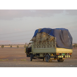 รูปถ่าย สหรัฐอาหรับเอมิเรตส์(United Arab Emirates) อาเลอิน(Al Ain) ทะเล(Desert) 2005-11 15