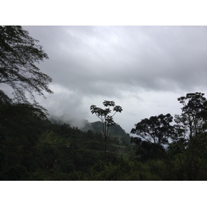 รูปถ่าย ปานามา(Panama) จากดาบิดไปโบกัสเดลโตโร(David to Bocas del toro) 2015-03 52