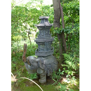 รูปถ่าย ญี่ปุ่น(Japan) 2010-06 46