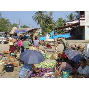 รูปถ่าย พม่า(Myanmar) ทวาย(Dawei (TAVOY)) 2005-01 94
