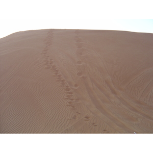 รูปถ่าย สหรัฐอาหรับเอมิเรตส์(United Arab Emirates) อาเลอิน(Al Ain) ทะเล(Desert) 2005-11 8