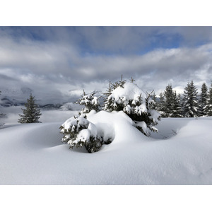 รูปถ่าย ฝรั่งเศส(France) ปรา-ซูร์-อาร์ลี(Praz sur Arly) 2019-12 213