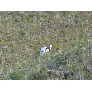 รูปถ่าย นิวแคลิโดเนีย(New Caledonia) ถนนจากทีโอไปกานาลา(Thio to Canala road) 2010-05 60