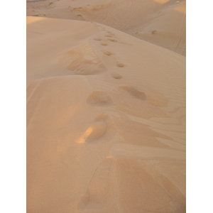 รูปถ่าย สหรัฐอาหรับเอมิเรตส์(United Arab Emirates) อาเลอิน(Al Ain) ทะเล(Desert) 2005-11 1