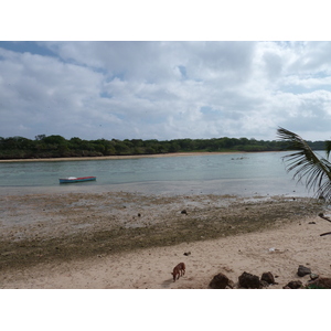 รูปถ่าย ฟิจิ(Fiji) ถนนจากนาดีไปนาตาโดลา(Nadi to Natadola road) 2010-05 70