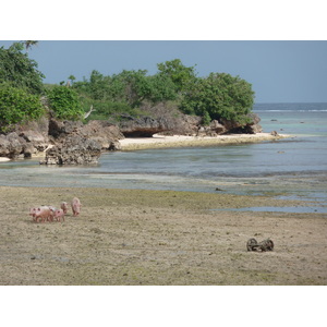 รูปถ่าย ฟิจิ(Fiji) 2010-05 73