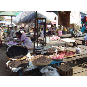 รูปถ่าย พม่า(Myanmar) ทวาย(Dawei (TAVOY)) 2005-01 68