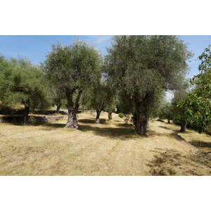 รูปถ่าย ฝรั่งเศส(France) วังซ์(Vence) 2017-08 25