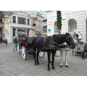 รูปถ่าย ออสเตรีย(Austria) เวียนนา(Vienna) 2004-11 104