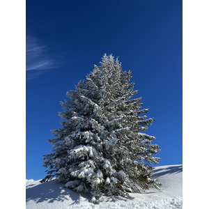 รูปถ่าย ฝรั่งเศส(France) เมแฌฟว์(Megeve) 2022-02 1